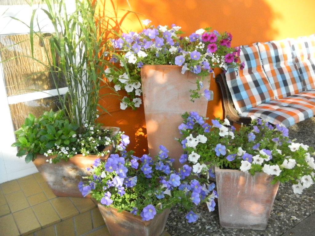Hotel Aqua Marina Heligoland Exterior foto
